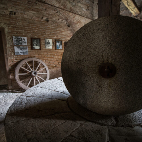 frantoio guarneri 7